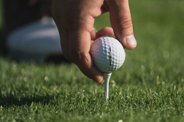 Golfklúbbur Hraunborga - 2026 - 1